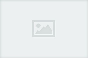 Қазақстандық дзюдошы Тәжікстандағы Гран-при турнирінде қола медаль иеленді