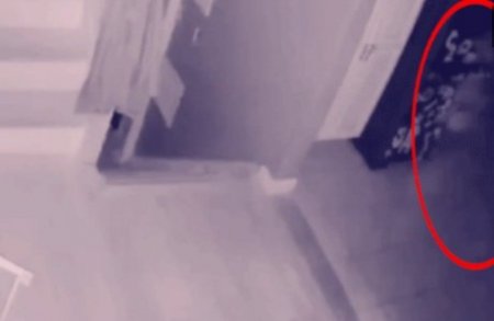 Балаға ұқсайды: Камера бөлменің ішінде қозғалған белгісіз бейнені түсіріп алған (видео)