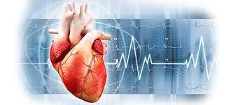 Бүгін Дүниежүзілік кардиология күні