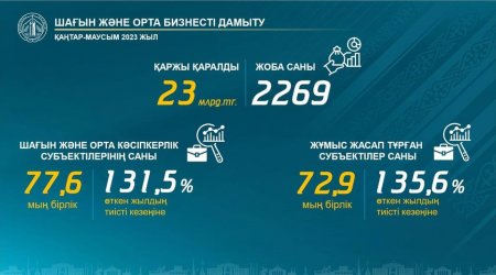 Жыл басынан бері 2000-нан астам кәсіпкерлік жобаға қолдау көрсетілді