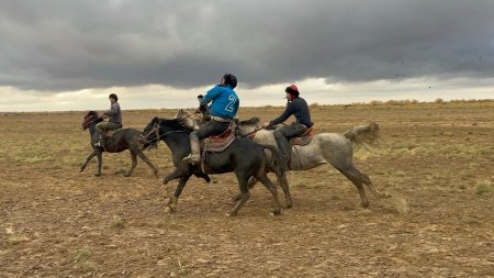 Көкпардан жарыс болып өтті