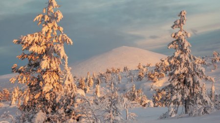 Мереке күндері Қазақстанда ауа райы қандай болады?