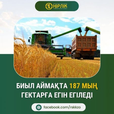 Биыл аймақта 187 мың гектарға егін егіледі