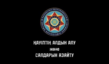 Қауіптің алдын алу және салдарын азайту