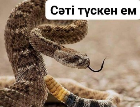 СӘТІ ТҮСКЕН ЕМ