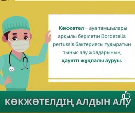 Көкжөтел туралы не білеміз?