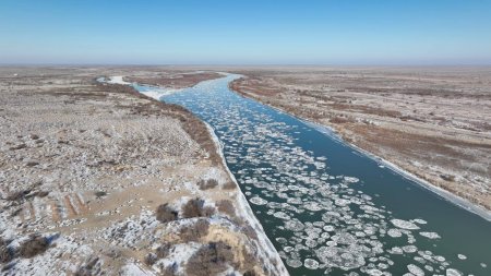 СЫРДАРИЯ ӨЗЕНІНЕ МОНИТОРИНГ ЖҰМЫСТАРЫ ЖҮРГІЗІЛДІ