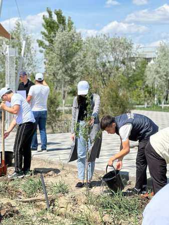 «Таза Қазақстан» экологиялық акциясына Қызылорда облысының жастары белсенді қатысуда