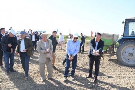 Қазалыда егін даласына алғашқы дән себілді