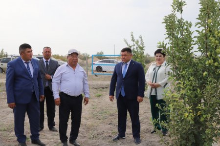 ЕСЕПТІ КЕЗДЕСУ: ЖАҢА БЕЛЕСТЕРГЕ БАСТАР ЖОЛ