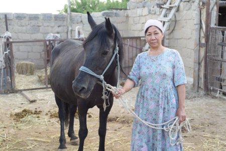 САУМАЛ – САУЛЫҚҚА СЕП