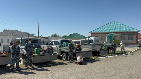 КЕНЕГЕ ҚАРСЫ КҮЗГІ ДӘРІЛЕУ ЖҰМЫСТАРЫ БАСТАЛДЫ