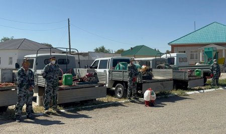 КЕНЕ ҚАУПІНЕ ТОСҚАУЫЛ