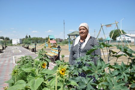 САЯБАҚ СӘНІН КЕЛТІРГЕН