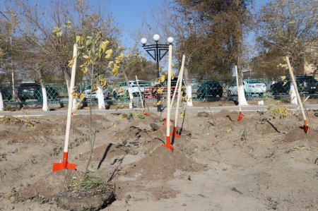 "ТАЗА ҚАЗАҚСТАН": КӨРКЕЙТУ-КӨГАЛДАНДЫРУ ШАРАЛАРЫ ЖАЛҒАСУДА