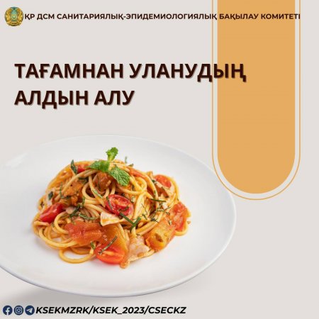 ТАҒАМНАН УЛАНУДЫҢ АЛДЫН АЛУ – ӘРКІМНІҢ ЖАУАПКЕРШІЛІГІ