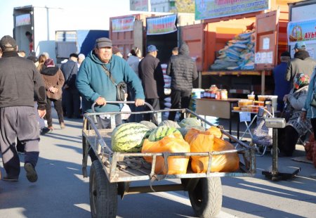 ТУҒАН ЖЕРДІҢ ТӘТТІСІ