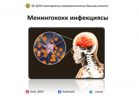 Менингококк инфекциясы – тез таралатын қауіпті дерт
