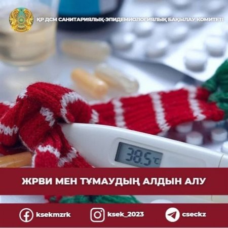 Тұмау және ЖРВИ ауруларының алдын алу