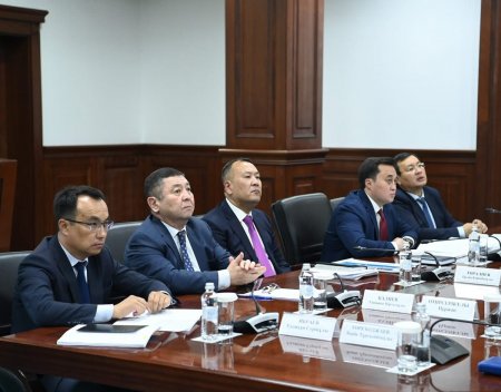 ЭЛЕКТР ЭНЕРГЕТИКАСЫ САЛАСЫН ДАМЫТУ ЖӘНЕ ЦИФРЛАНДЫРУ МӘСЕЛЕСІ ТАЛҚЫЛАНДЫ