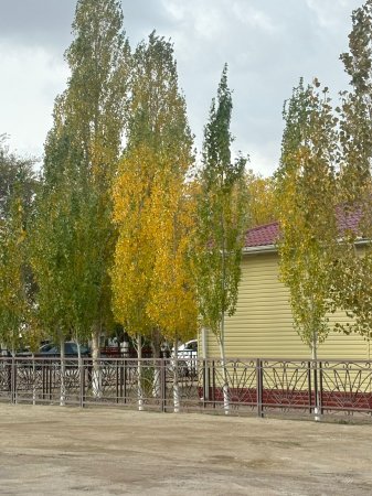 Бүгін еліміздің басым бөлігінде ауа райы бұлтты болады