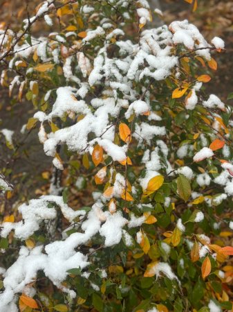 Қазақстанда алдағы күндері қар жауып, боран соғады