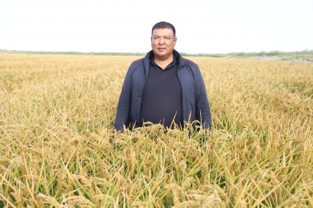 СУДЫҢ ТІЛІН МЕҢГЕРГЕН ШЕБЕР