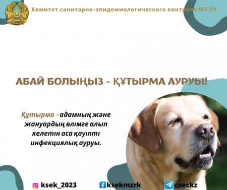 Құтырма ауруы – аса қауіпті дерт!