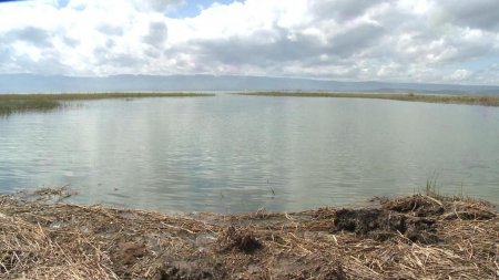 ШҮЛЕНКӨЛ НЕМЕСЕ ӘКЕМ АЙТҚАН ӘҢГІМЕ