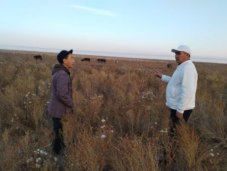 МАЛ ШАРУАШЫЛЫҒЫН ДАМЫТУ БОЙЫНША ЗЕРДЕЛЕУ ЖҰМЫСТАРЫ ЖҮРГІЗІЛДІ