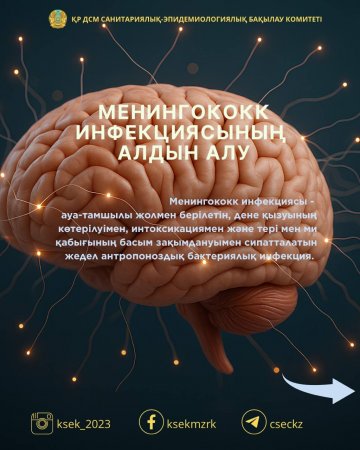 Менингококк инфекциясы – адам өміріне қауіп төндіретін күрделі жұқпалы ауру