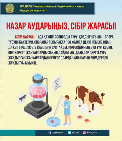 Сібір жарасы – адам мен жануар өміріне қатер төндіретін жұқпалы індет