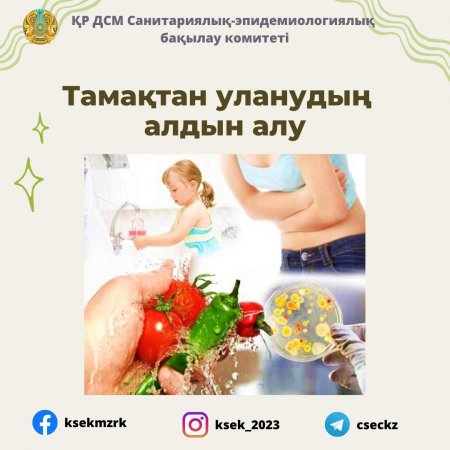 Тамақ өнімдерінен уланудың алдын алу – қоғам саулығын қамтамасыз етудің маңызды бөлігі