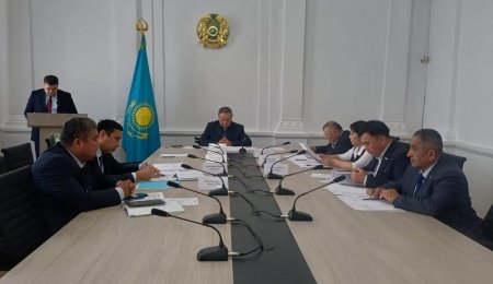 ҚОҒАМДЫҚ КЕҢЕС ЕКІ ЖОБАНЫ МАҚҰЛДАДЫ