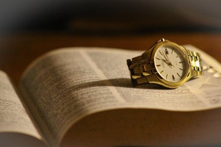 Оксфорд 2025 жылы жиі қолданылған сөзді атады