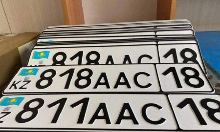 Енді әдемі нөмірді кезекке тұрмай, онлайн алуға болады