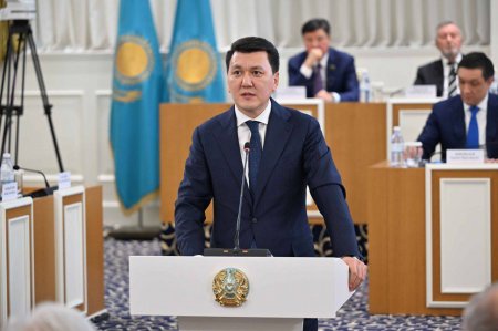 Мемлекеттік кеңесші – Конституциялық комиссия төрағасының орынбасары Ерлан Қарин