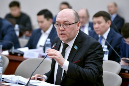 ЖСДП төрағасы: Конституциялық реформа – бұл қоғамның нақты сұраныстарына жауап