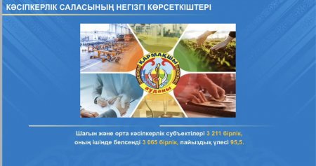 ҚАРМАҚШЫ АУДАНЫНДА КӘСІПКЕРЛІК САЛАСЫНЫҢ ҮЛЕСІ АРТУДА