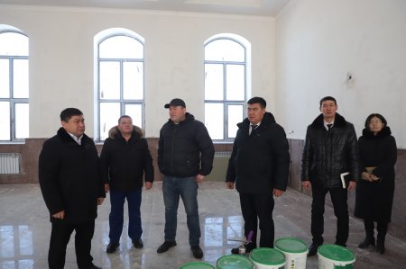 АУДАН ӘКІМІ БІРҚАТАР НЫСАНДАРДЫ АРАЛАДЫ