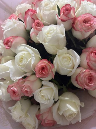 АНА - ТІРШІЛІКТІҢ БАСТАУЫ