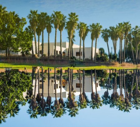 Флорида тұрғыны ChatGPT-дің көмегімен үйін 5 күнде сатқан