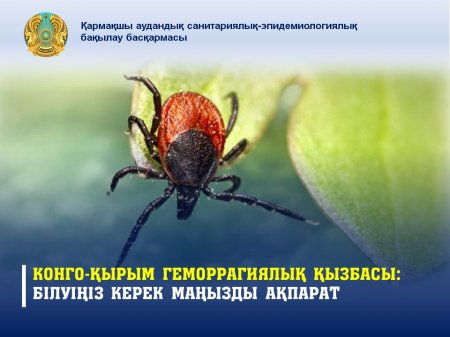 Конго-Қырым геморрагиялық қызбасы: білуіңіз керек маңызды ақпарат