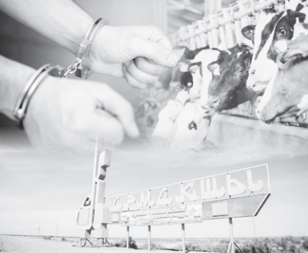 МАЛ ҰРЛЫҒЫНА ТОСҚАУЫЛ ҚОЙҒАН АУЫЛ