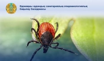 Кене: қауіптері, алдын алу  және қорғану жолдары
