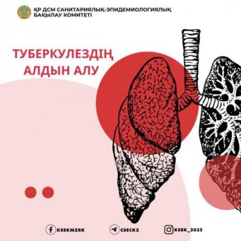 Туберкулез туралы не білу керек