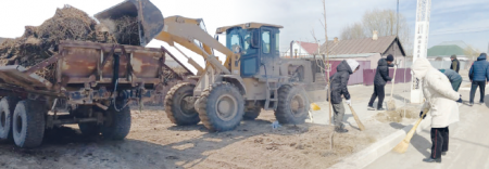 КӨКТЕМГІ СЕНБІЛІК ҚАРҚЫН АЛДЫ