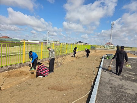 «ТАЗА ҚАЗАҚСТАН»: ҚАРМАҚШЫДА СЕНБІЛІК ЖҰМЫСТАРЫ ЖҮЙЕЛІ ЖАЛҒАСУДА