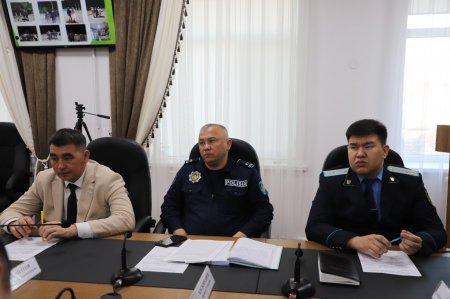 ЖАСӨСПІРІМДЕР АРАСЫНДАҒЫ ТӘРТІП – БАСТЫ ТАҚЫРЫП