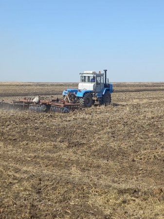 КӨКТЕМНІҢ ӘР КҮНІ БАҒАЛЫ